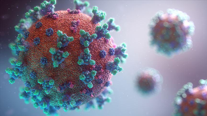 Mutant virüs daha mı hızlı yayılıyor Koronavirüsün etkisi azaldı mı Prof. Dr. Ceyhan canlı yayında açıkladı