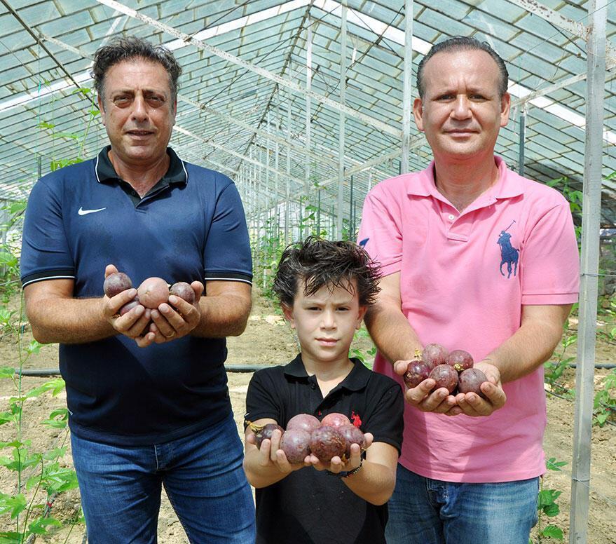 Stuttgartlı gurbetçi, Alanya’da passiflora bahçesi kurdu Yılda 1,5 milyon lira kazanacak