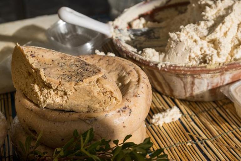 Dünyanın en tehlikeli peyniri: Casu Marzu, yüzyıllardır baştacı