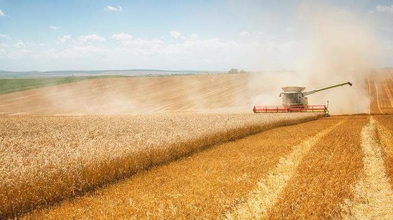 TMO buğday alım fiyatları 2022 belli oldu mu  Toprak Mahsulleri Ofisi 2022 buğday alım fiyatları ne zaman açıklanacak