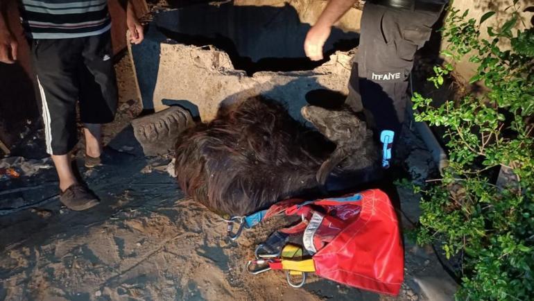 25 metrelik kuyuya düşen yavru keçiyi itfaiye kurtardı