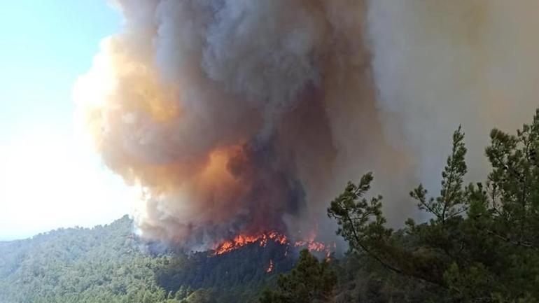 Marmaristeki orman yangınında son durum: Bakan Kirişci canlı yayında açıkladı