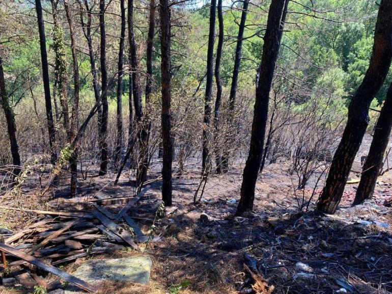 İstanbulda orman yangını paniği Alevler bahçesine sıçradı