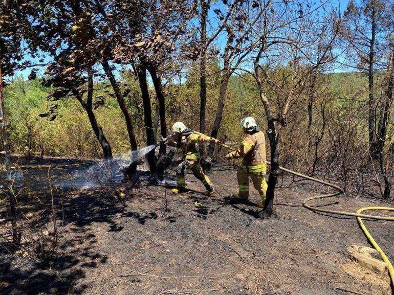 İstanbulda orman yangını paniği Alevler bahçesine sıçradı