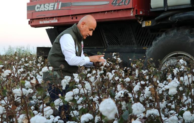 Bakan Kirişci: Türkiye, dünya pamuk üretimde 7.sırada