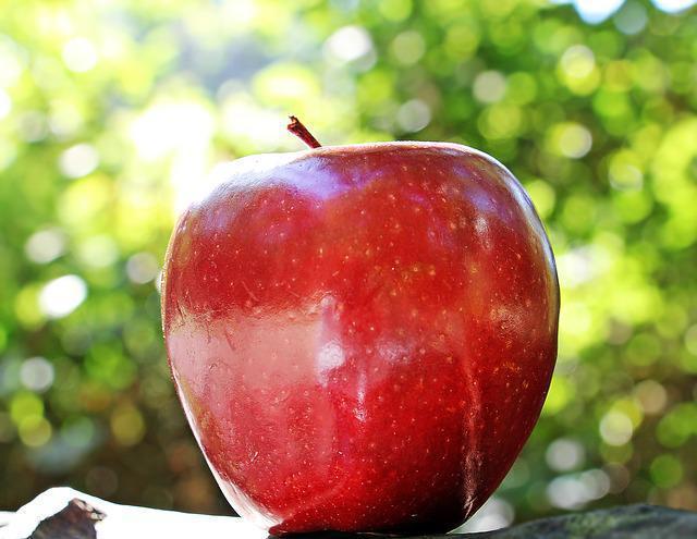 Elma kilo aldırır mı Elmanın kalorisi ve besin değerleri