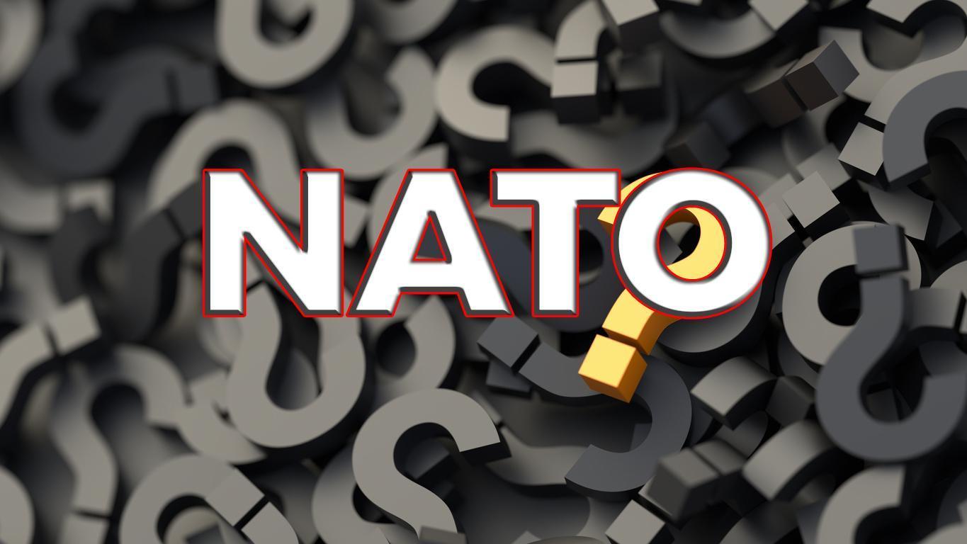 Cos’è la NATO, cosa rappresenta?  Quali sono i paesi della NATO?