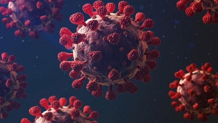 Koronavirüs vaka sayısı 24 Mart 2022 - Son Dakika Haberi